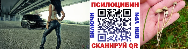 Псилоцибиновые грибы GOLDEN TEACHER  это какой сайт  Междуреченск 